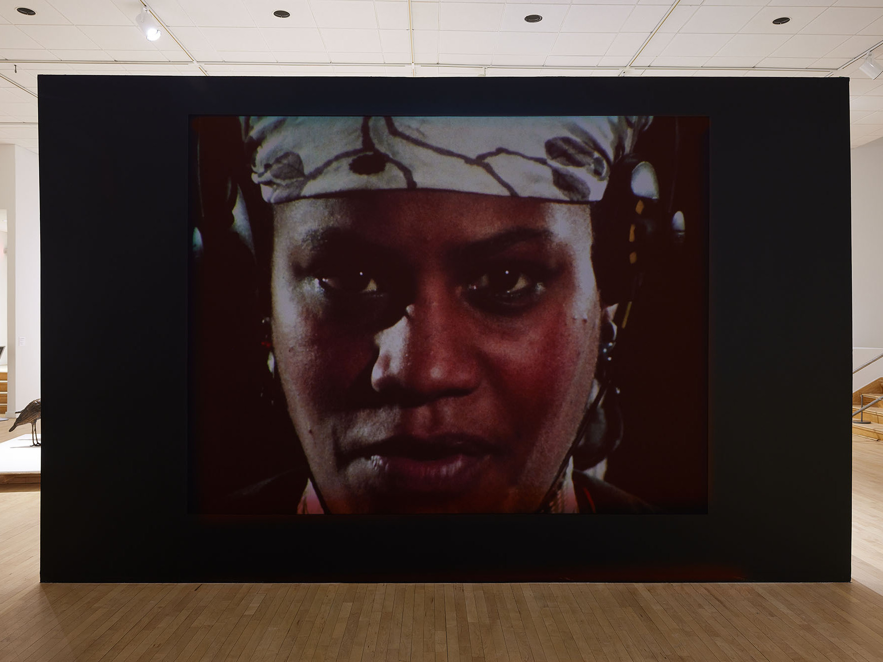 caption: Jean Satterfield plays the revolutionary leader of an underground women's army in the 1983 feminist classic <em>Born in Flames.</em>