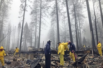 caption: Volunteers search a mobile home park in Paradise, Calif. Government scientists predict wildfires like the one that struck this community will contribute to billions in loses for the U.S. economy.