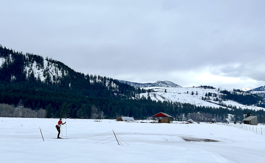 caption:  A cross country skier follows a trail on the Sunny M Ranch property in the Methow Valley. The Methow Conservancy hopes to purchase the land this summer.