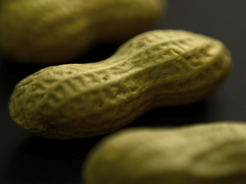 caption: About 4.6 million adults in the U.S. have a peanut allergy, according to a study published by the <em>Journal of Allergy and Clinical Immunology</em> in 2021.