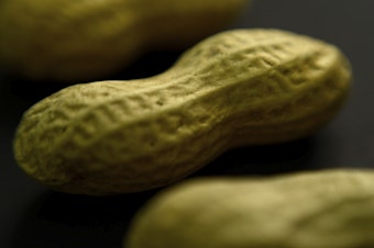 caption: About 4.6 million adults in the U.S. have a peanut allergy, according to a study published by the <em>Journal of Allergy and Clinical Immunology</em> in 2021.