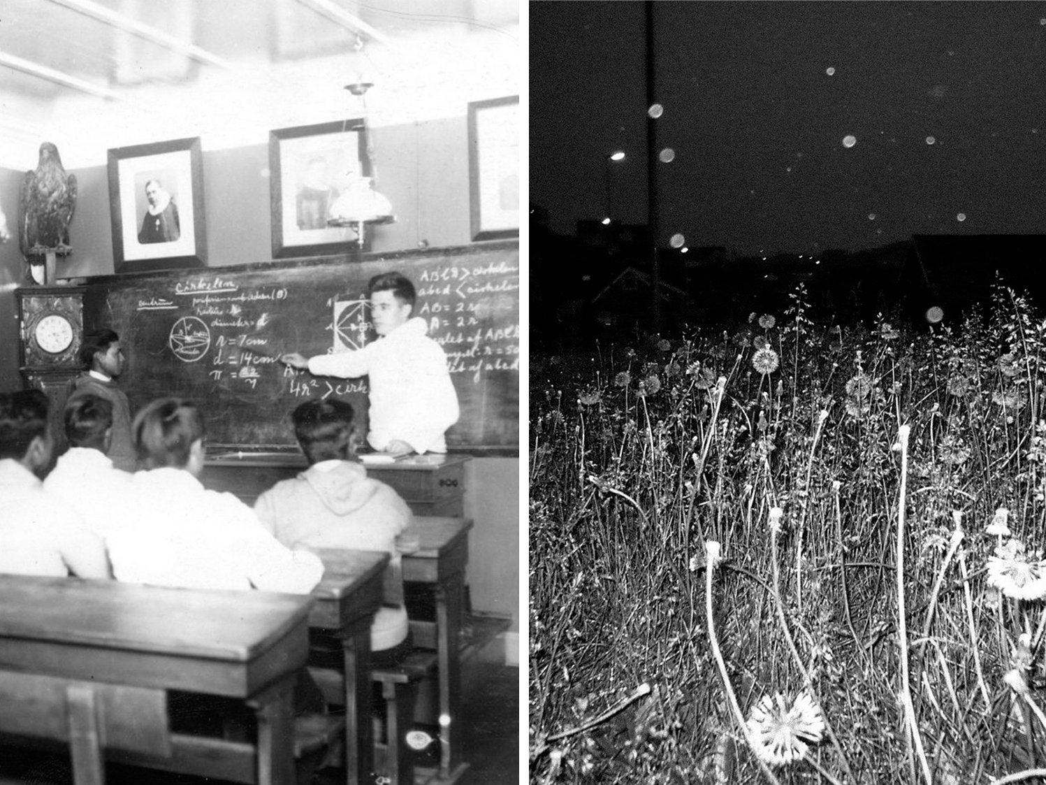 Minik Bidstrup's photo essay "Courageously Take a Stand" –– or Saperasi isumaqaleritsi in the Greenlandic Inuit language Kalaallisut –– confronts Greenland's long colonial history from an indigenous perspective.