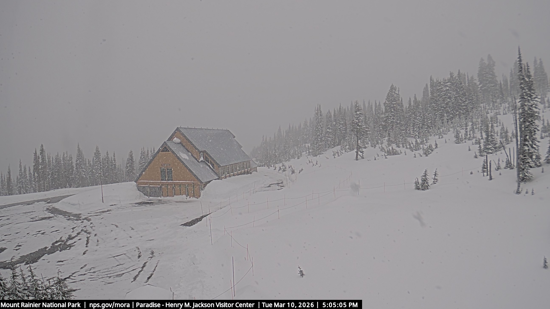 caption: A view of the Jackson Visitor Center at Paradise in Mount Rainier National Park on March 10, 2026, as seen on the park's public webcam.