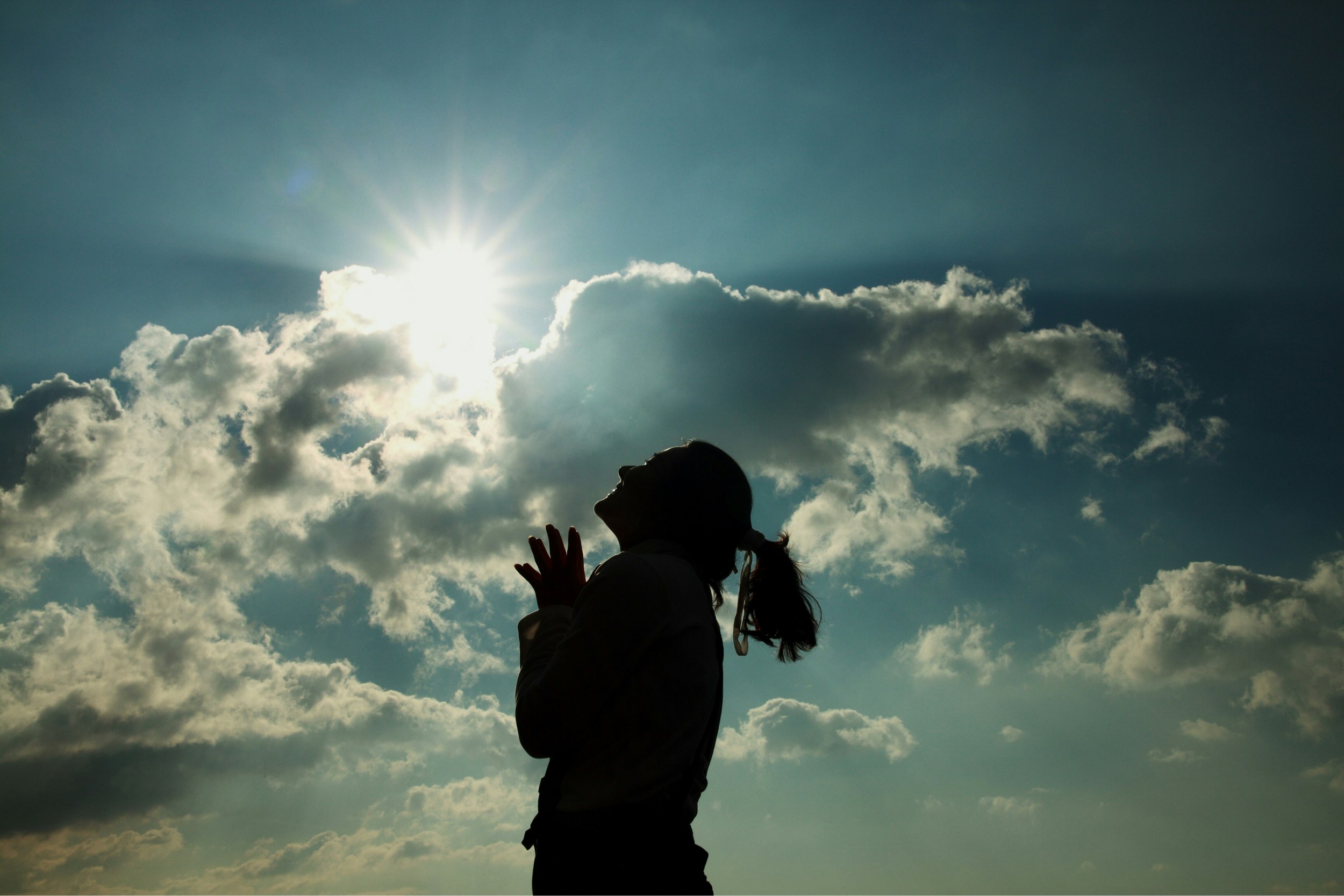 KUOW - Finding Joy In The Wreckage: Acknowledging Trauma In The Post-Trump Era - Vimarsana News