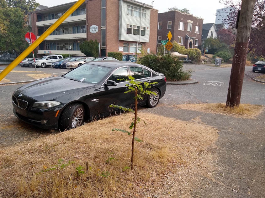 caption: A parked car has received a ticket for blocking a crosswalk in Seattle's University District on Oct. 20, 2022.