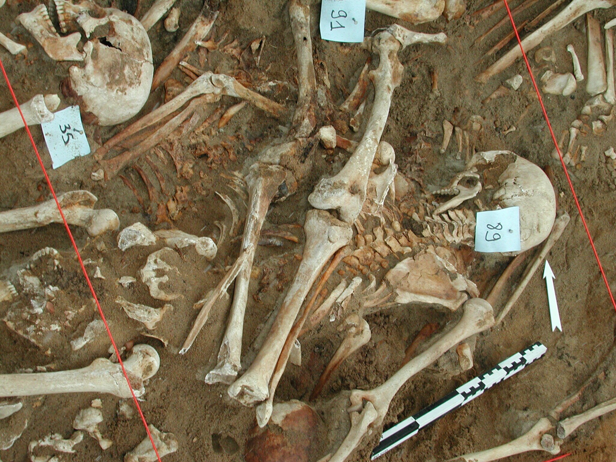 caption: Two-to-three thousand soldiers from Napoleon's army were found in a mass grave in the northern suburbs of Vilnius, Lithuania in 2001.