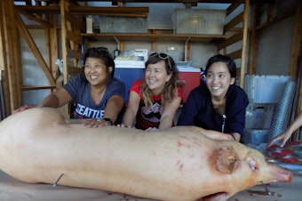caption: Left to right: Mai Nguyen, Anne Xuan Clark, and Tiffany Wong sew up the pig's belly after stuffing it with garlic, lemongrass and other aromatics.