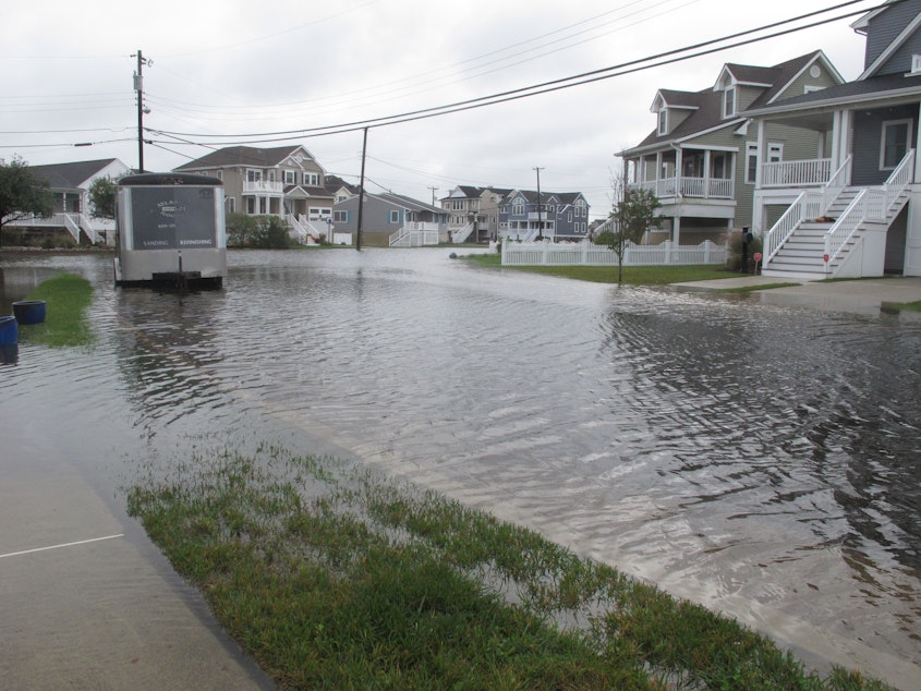 caption: Flooding in Ocean City, N.J. in October 2020. Thousands of coastal cities around the world are already dealing with rising sea levels, and face catastrophic sea level rise if global warming triggers runaway ice melt.