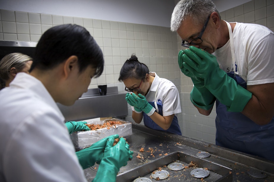 caption: Ann He, left, Virginia Ng, center, and Bruce Odegaard, right, perform sensory examinations of canned salmon on Tuesday, August 6, 2019, at the Seafood Products Association on South Jackson Street in Seattle. 