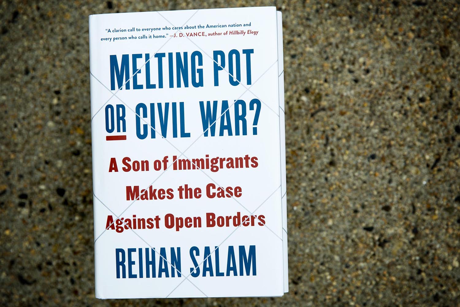 caption: Melting Pot or Civil War? by Reihan Salam. (Robin Lubbock/WBUR)