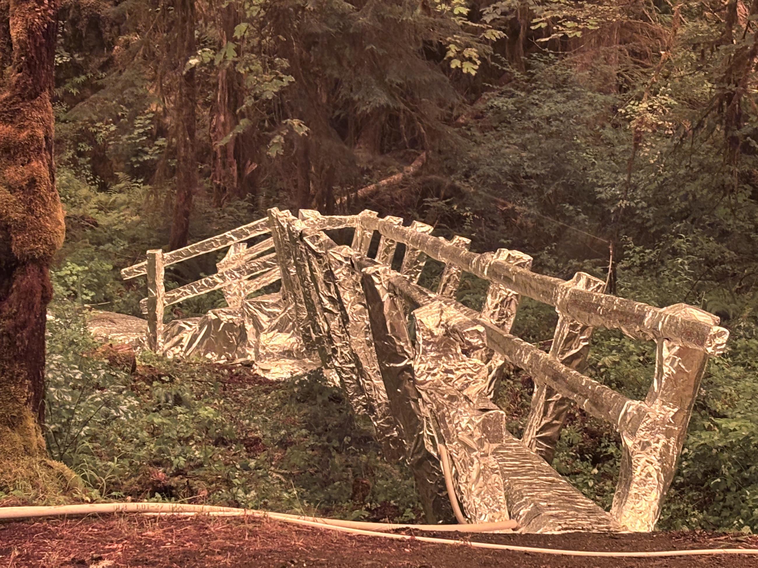 caption: An Olympic National Park footbridge is wrapped in foil on Aug. 4, 2025.