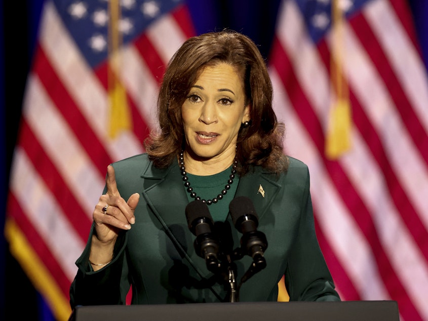 caption: Vice President Kamala Harris speaks to mark the 50th anniversary of the 1973 US Supreme Court Roe v. Wade decision, in Tallahassee, Fla., on Saturday.