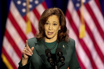 caption: Vice President Kamala Harris speaks to mark the 50th anniversary of the 1973 US Supreme Court Roe v. Wade decision, in Tallahassee, Fla., on Saturday.