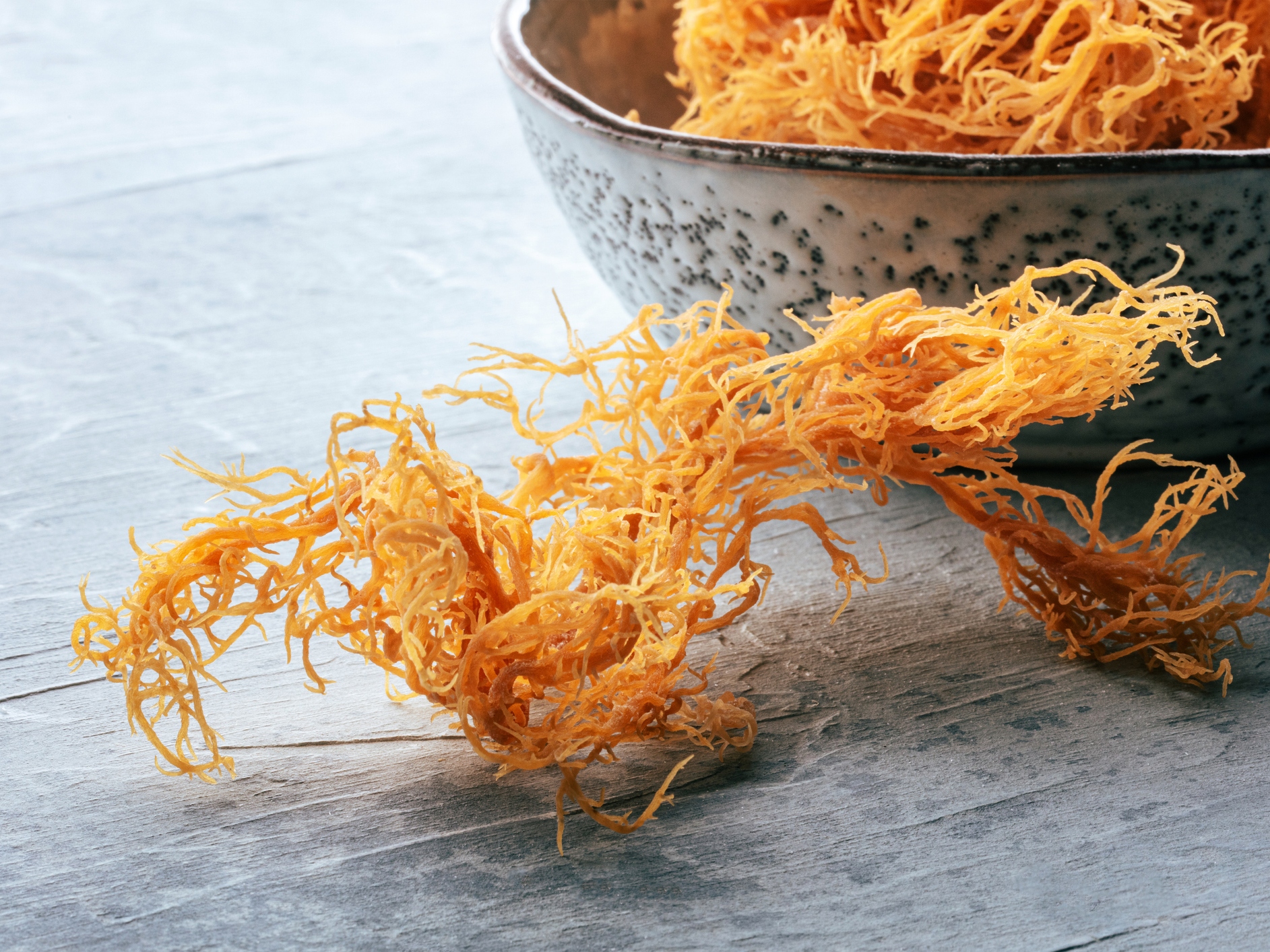 caption: This Irish sea moss, Chondrus Crispus, is dried, raw and full of nutrients.