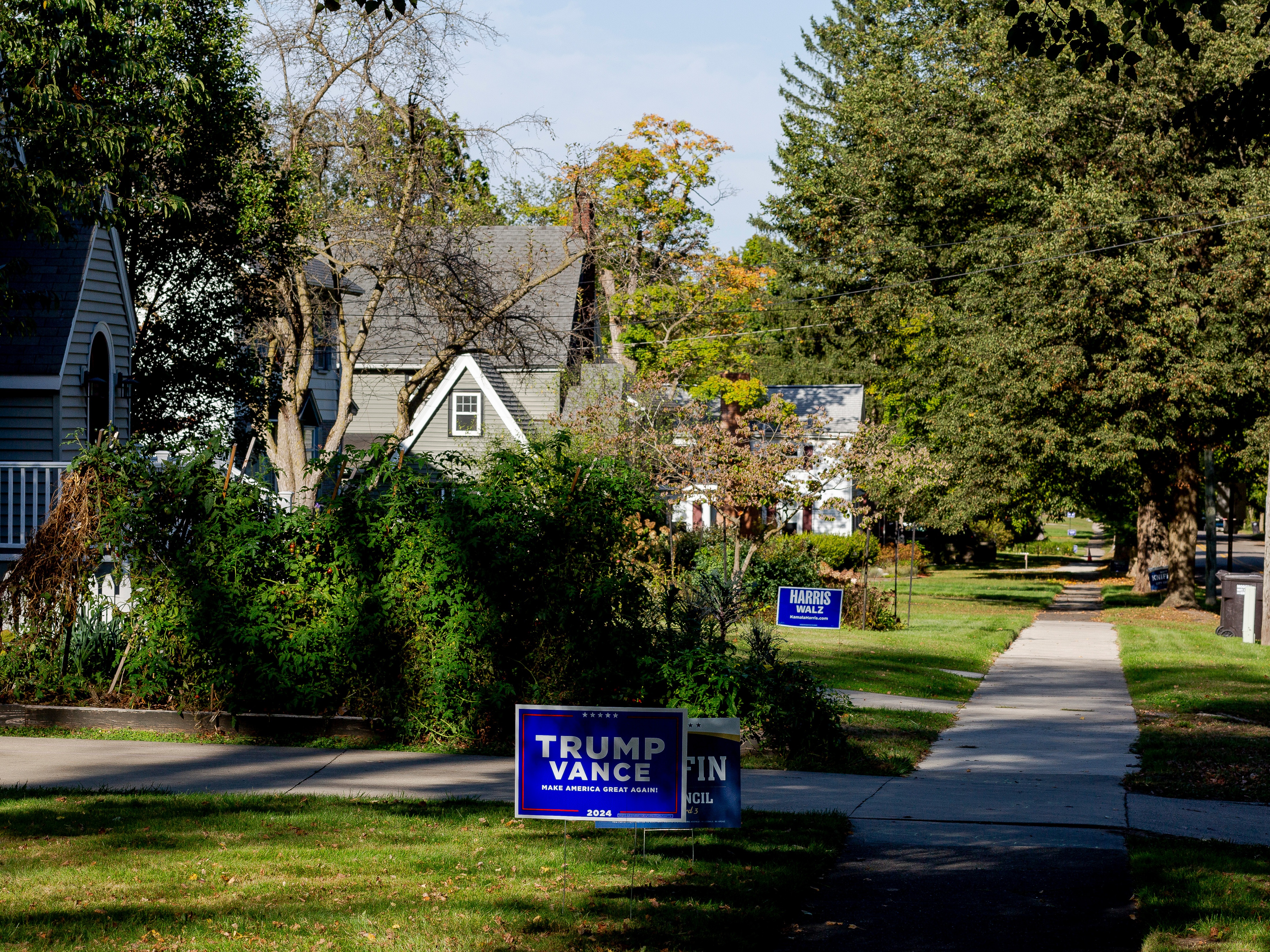 caption: A Trump and Harris sign side-by-side in a neighborhood on Oct. 3, 2024 in Hillsdale, Mich.