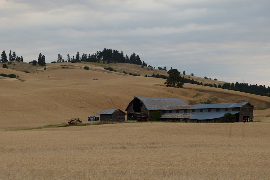 caption: On the drive to Malden, dry grass and metal roof barns along the road.