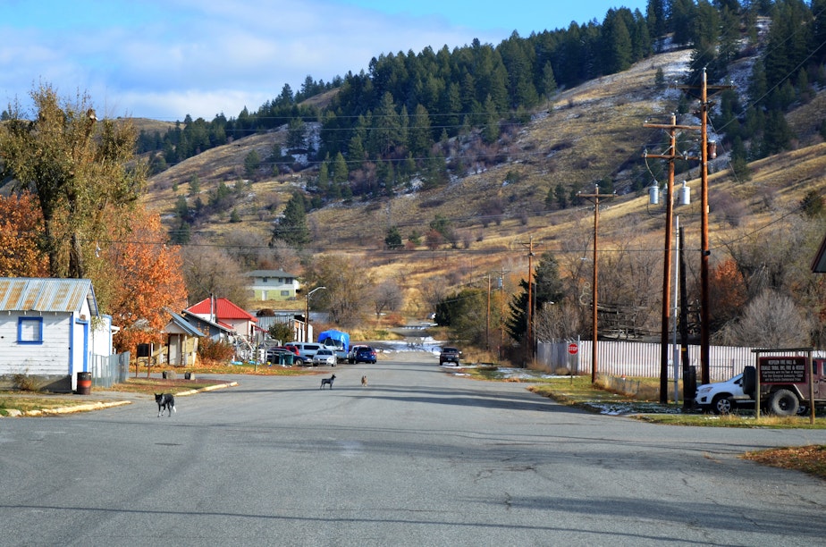 caption: The town of Nespelem, on the Colville Reservation, is about a dozen city blocks surrounded by hills speckled with snow in mid-November.
