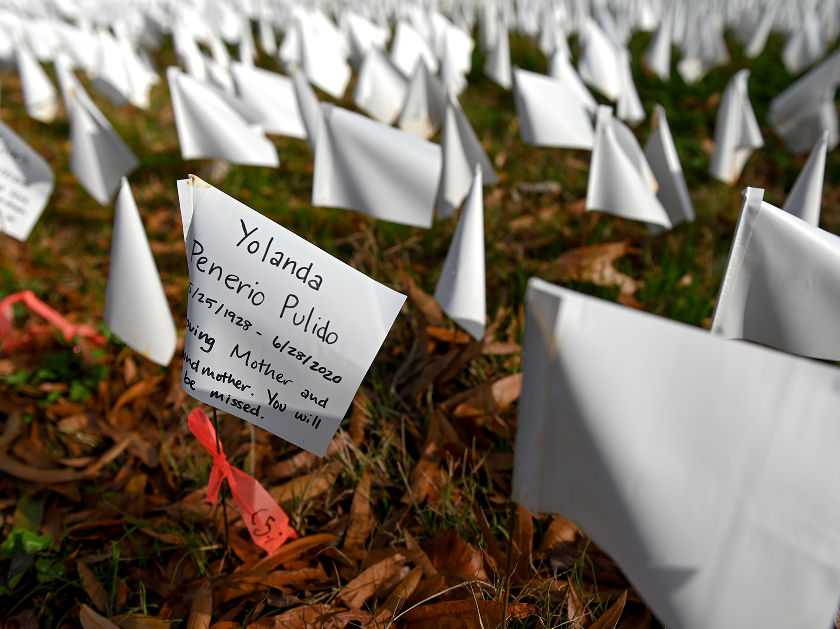 caption: White flags planted by volunteers visualize lives lost in the U.S. to COVID-19 as part of an installation by artist Suzanne Firstenberg in D.C. The death toll has now reached 300,000.