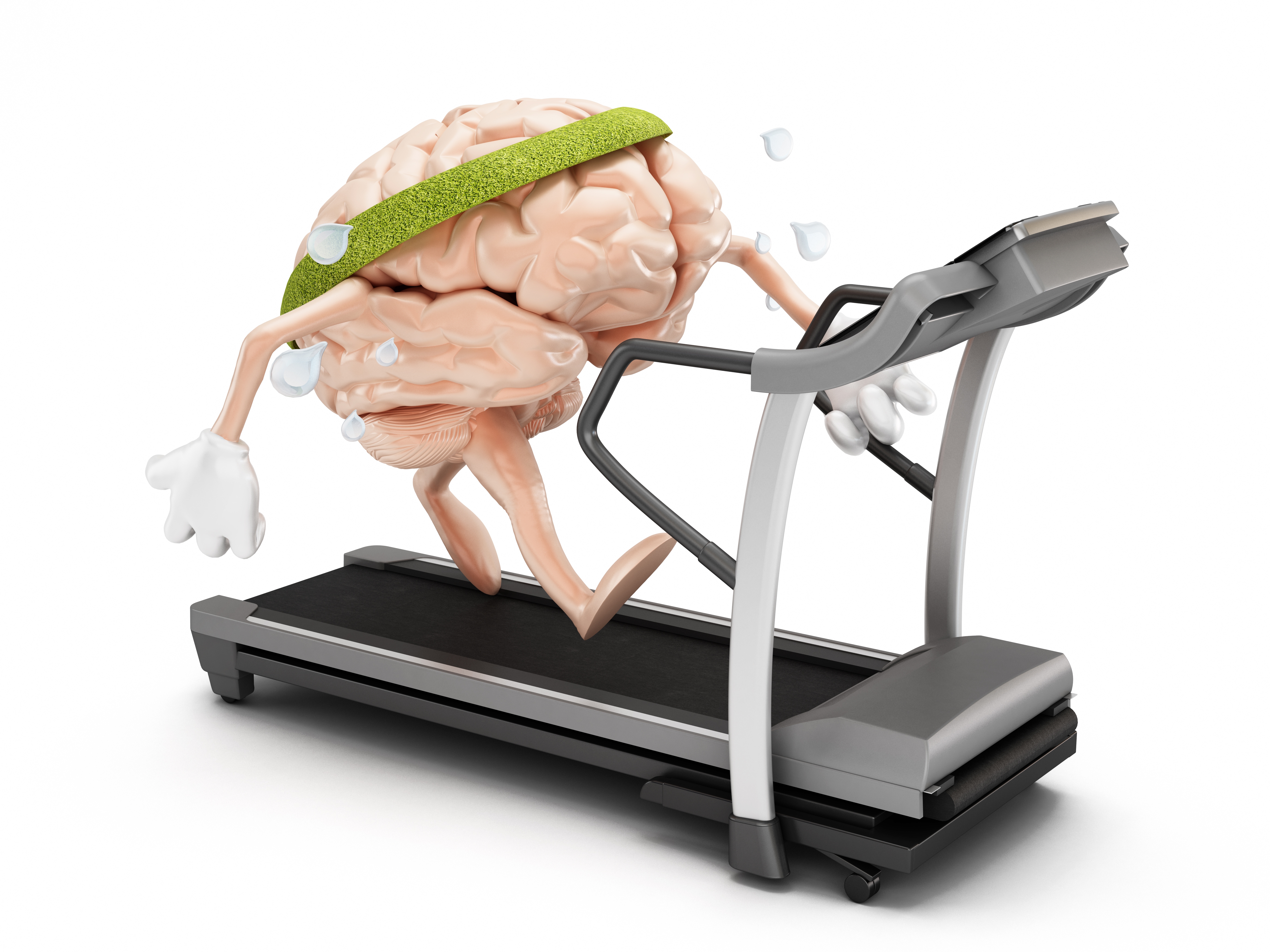 caption: A new study finds that cognitive training can increase the levels of a key chemical messenger in the brain responsible for decision-making, and reverse a process associated with aging.