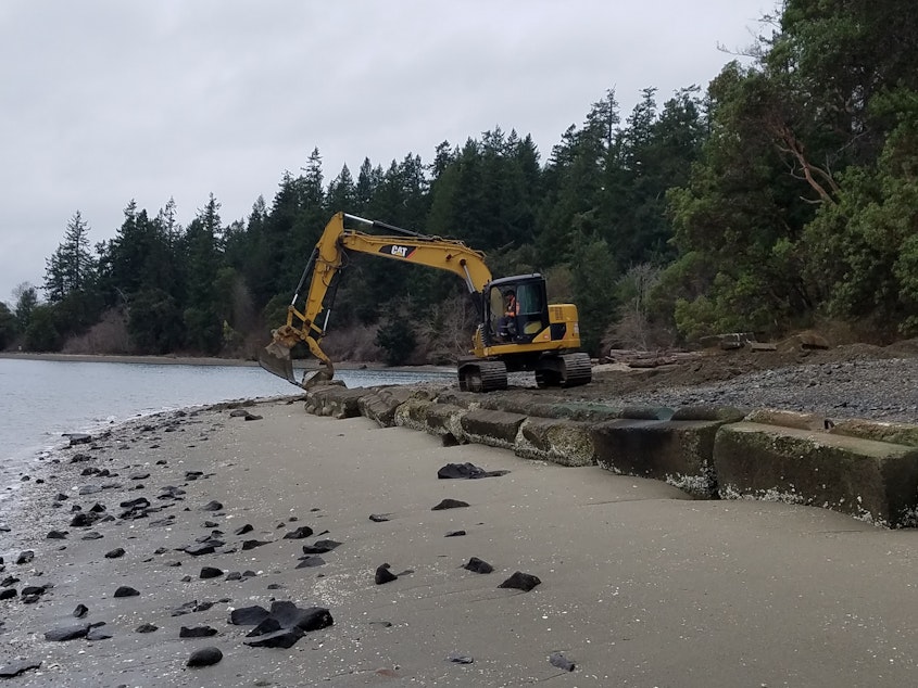 caption: An excavator removes concrete blocks that armor a beach on McNeil Island in south Puget Sound on Tuesday.