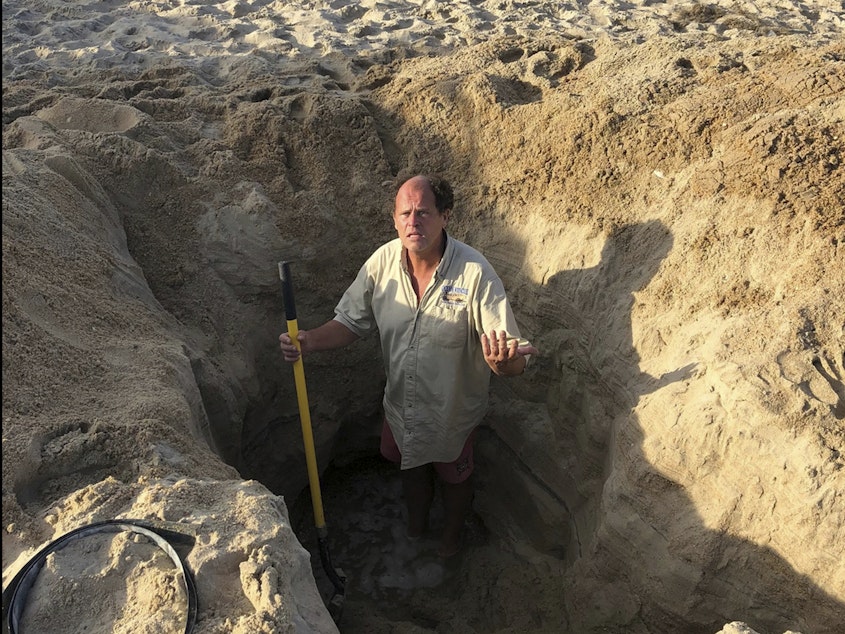 caption: David Elder, ocean rescue supervisor for Kill Devil Hills, N.C, stands in a hole he estimates to be 7 feet deep on Sunday. The town on North Carolina's Outer Banks has issued a plea to beachgoers about the dangers of digging holes on the beach.