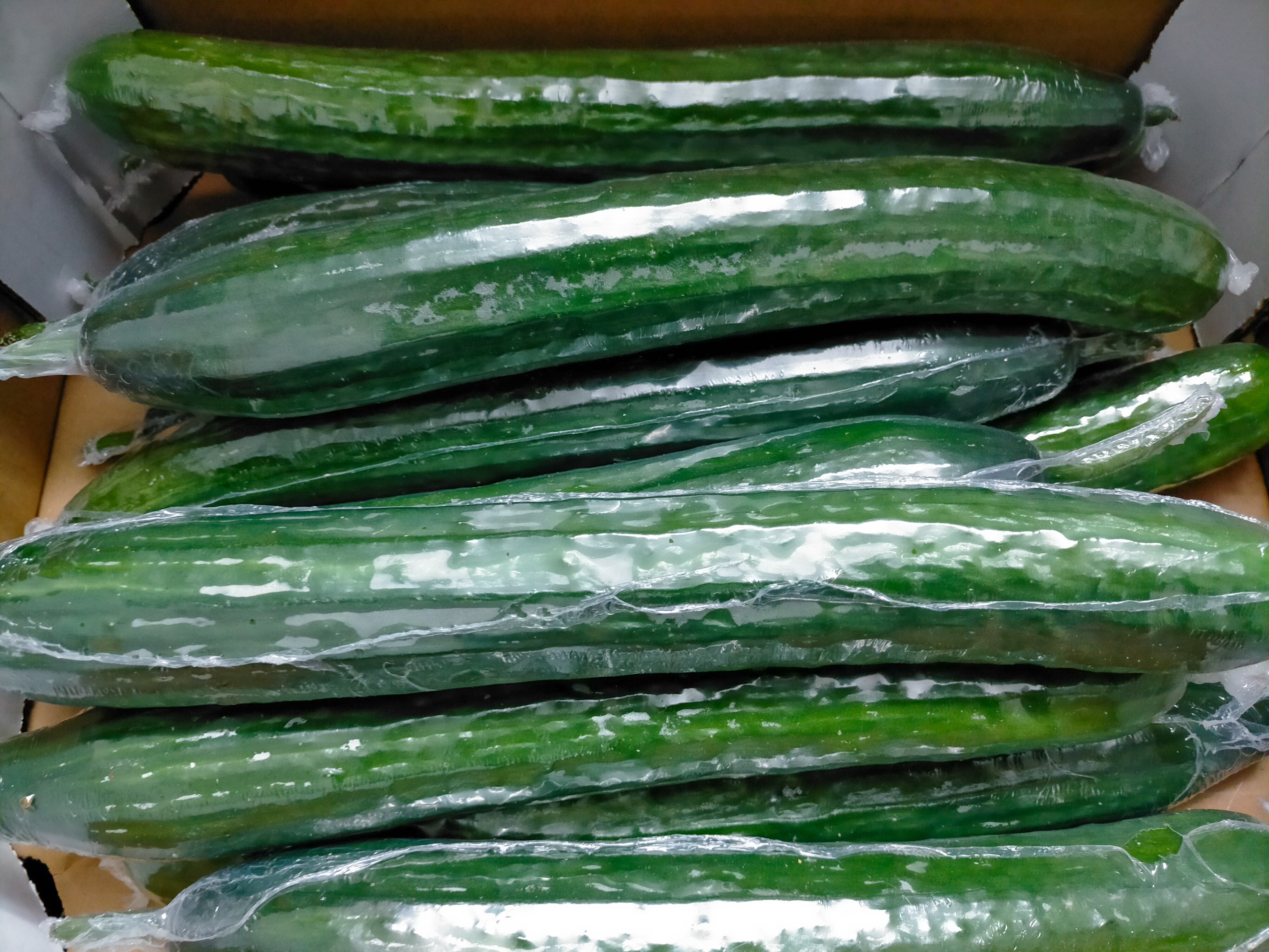 caption: Plastic wrap used on cucumbers has been found to contain phthalates. 
