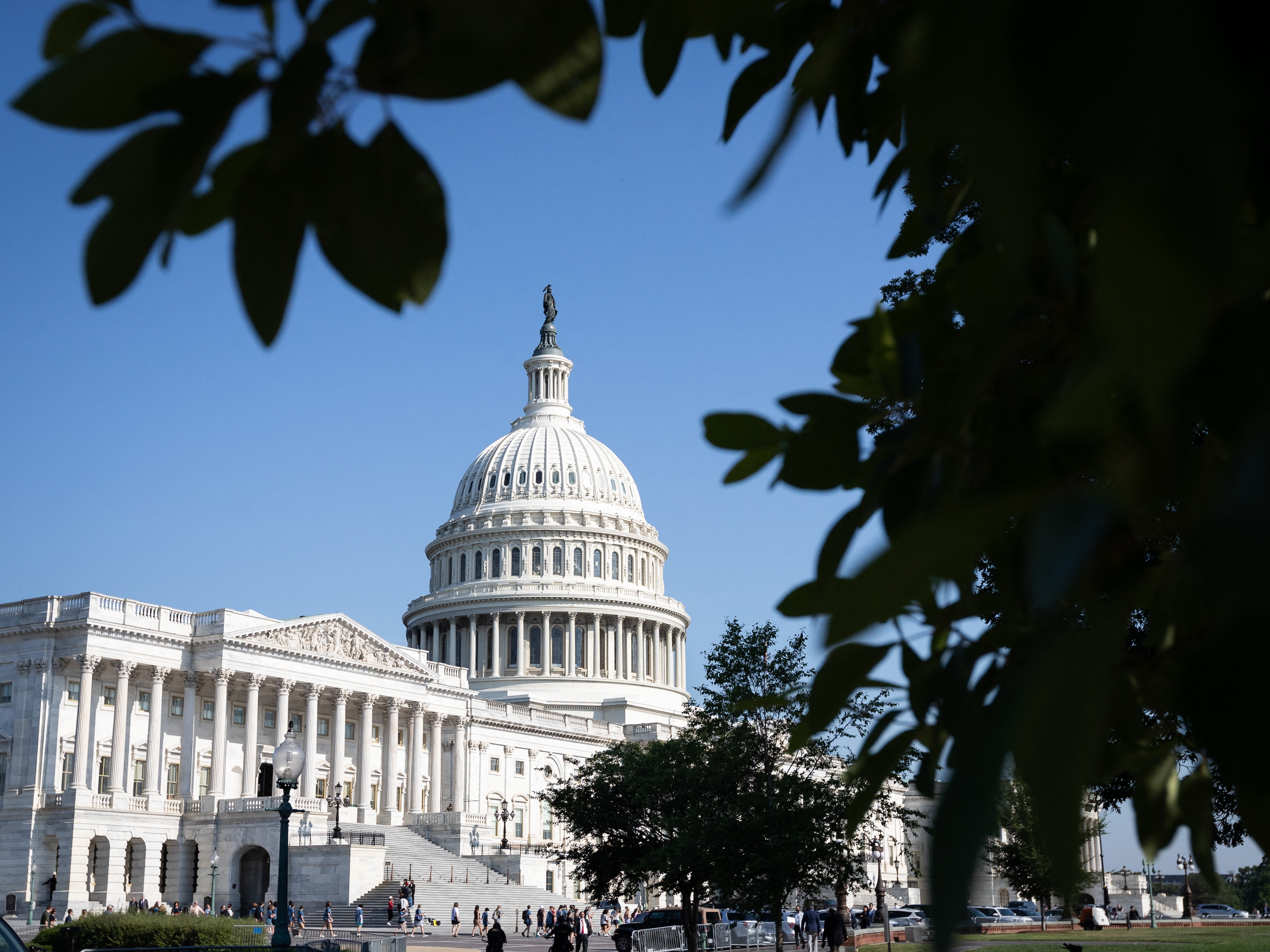 caption: The 118th body of Congress was elected in 2022 and served from 2023 until 2025.