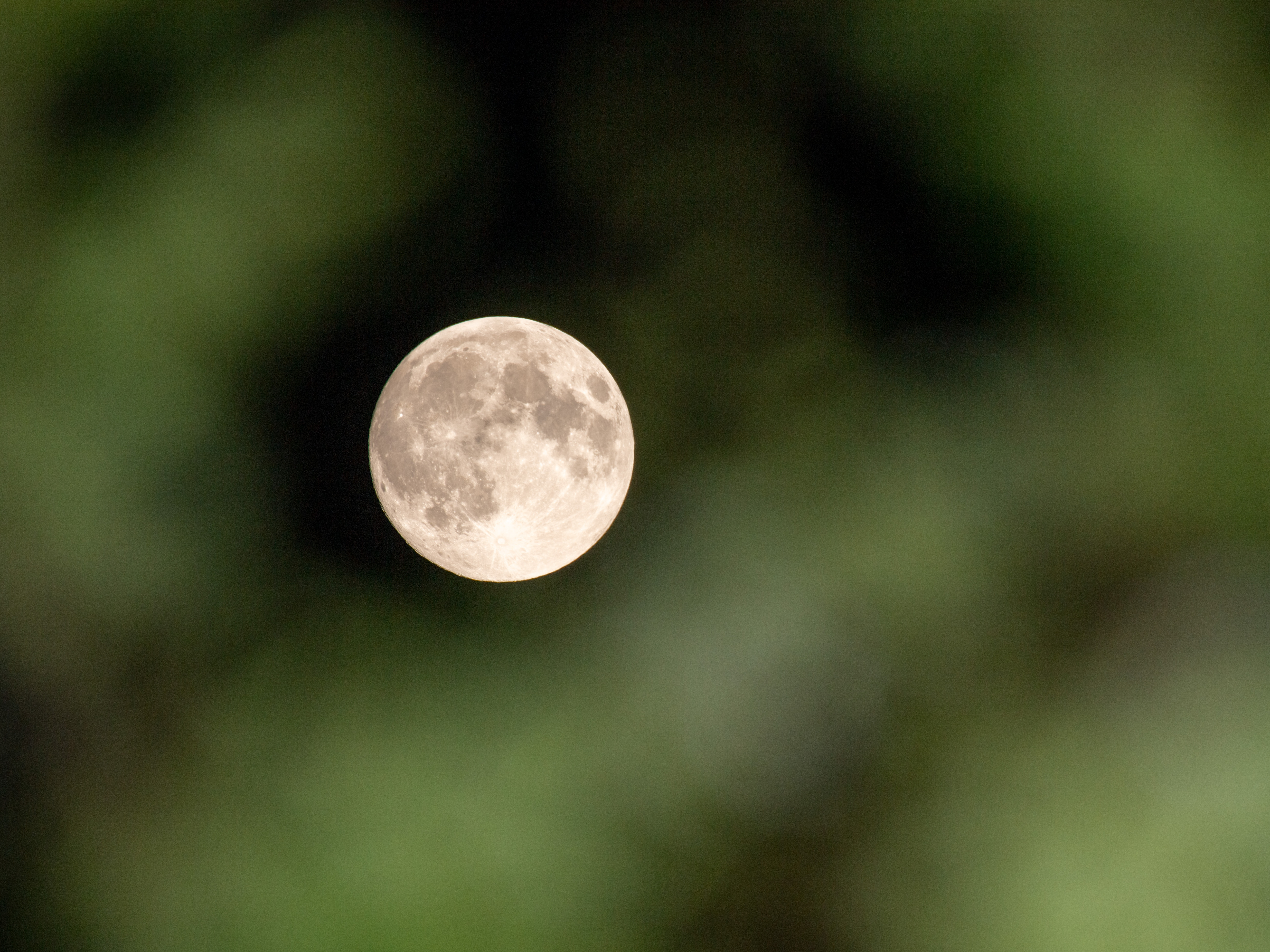 caption: The Flower Moon is seen through trees in May 2021 in Amesbury, United Kingdom.