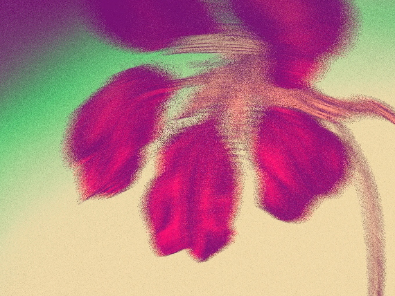 detail from the cover of Orchid and the Wasp by Caoilinn Hughes