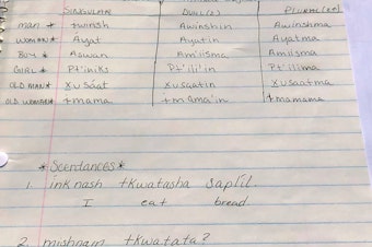 caption: Notes from Emily Washines' Ichiskiin (Yakama language) class in 1998. Washines lost her teacher to Covid-19. 