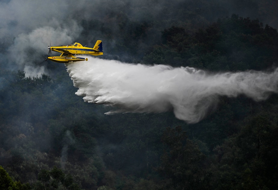caption: A firefighter aircraft drops water in a wildfire in Portugal on Saturday.