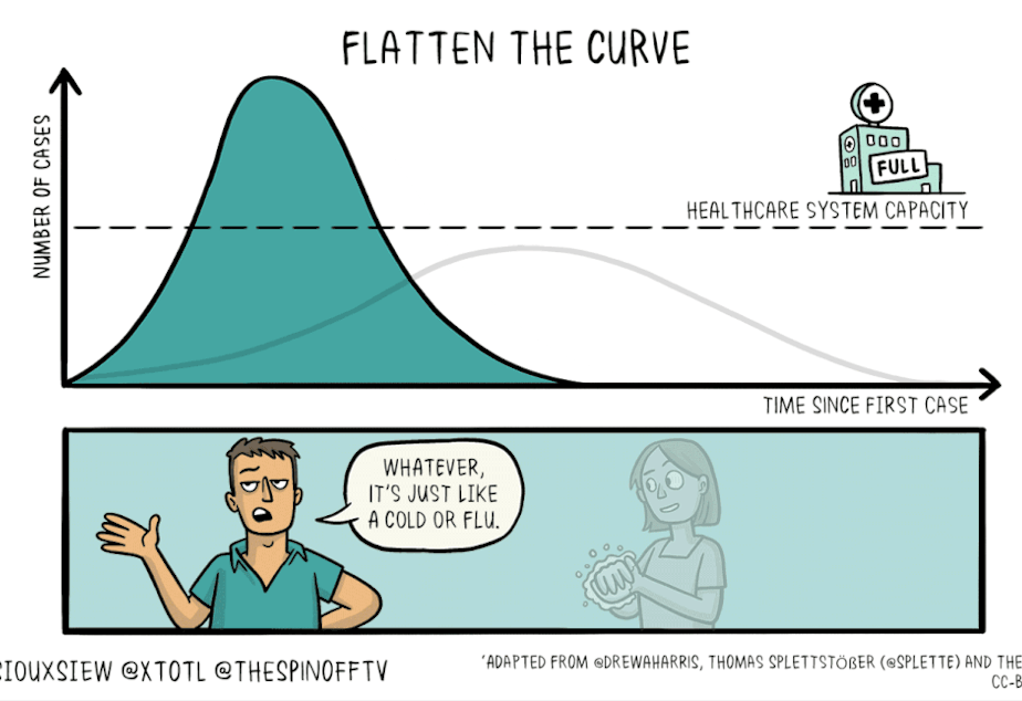 caption: A comic by Siouxsie Wiles and Toby Morris shows the idea of "flattening the curve."