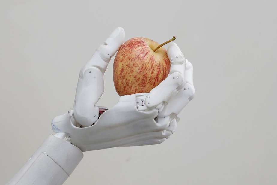 caption: Hanson Robotics' flagship robot Sophia, a lifelike robot powered by artificial intelligence, holds an apple in Hong Kong. (Kin Cheung/AP)