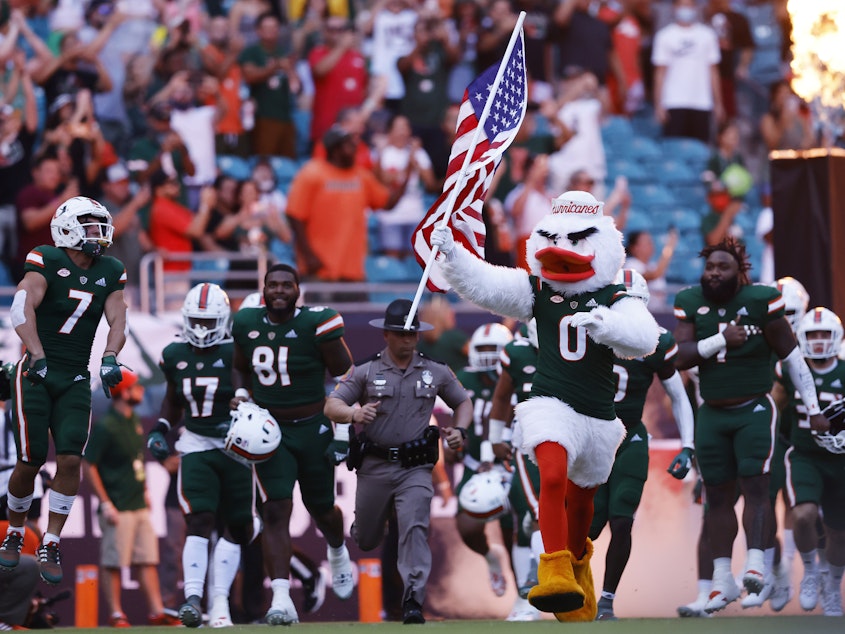 caption: In the absence of a photo of the cat itself, please accept this photo of the Miami mascot leading the team onto the field before the game against Appalachian State.