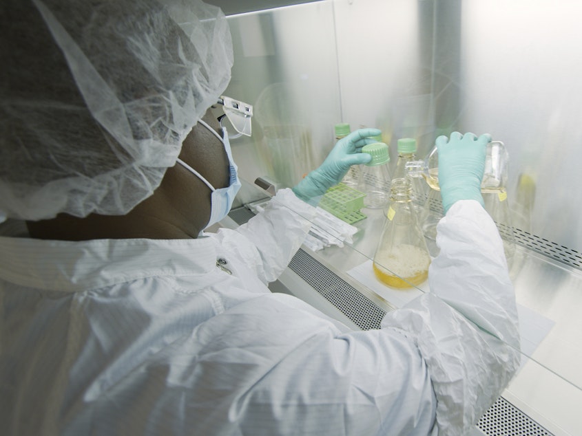 caption: An Eli Lilly researcher tests possible COVID-19 antibodies in a laboratory in Indianapolis.