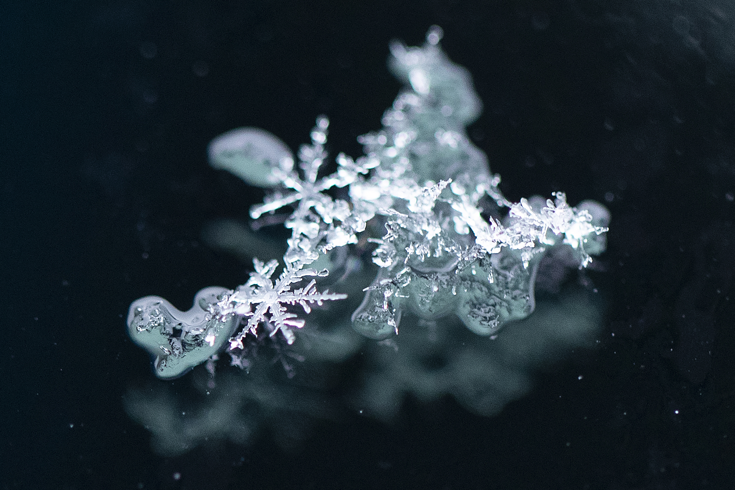 caption: Snowflakes fall on Friday, March 13, 2026, in Seattle’s Ballard neighborhood. 