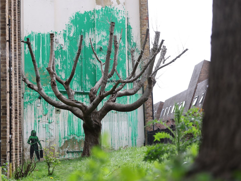 caption: A new Banksy artwork near Finsbury Park in north London shows a stencil of a person having spray painted tree foliage onto a wall behind a leafless tree.