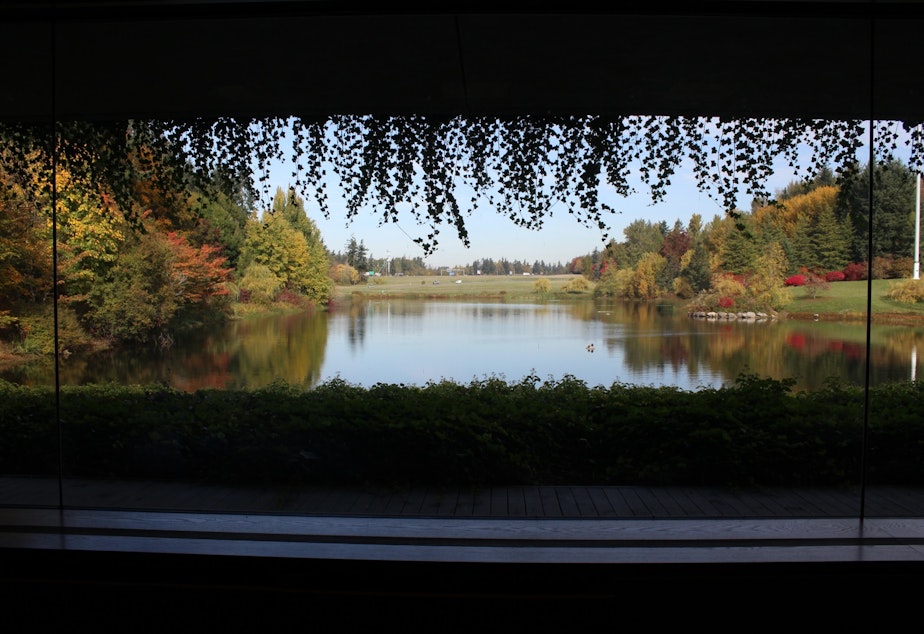 caption: The view from Weyerhaeuser's former headquarters building