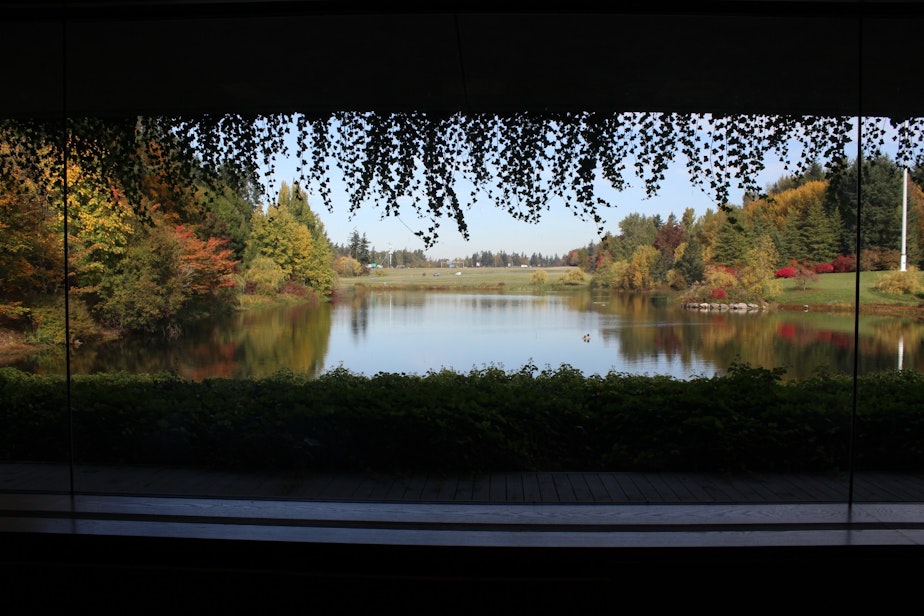 caption: The view from Weyerhaeuser's former headquarters building