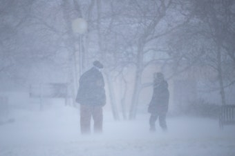 caption: Two people braving blizzard conditions in Duluth, Minn., on Saturday.