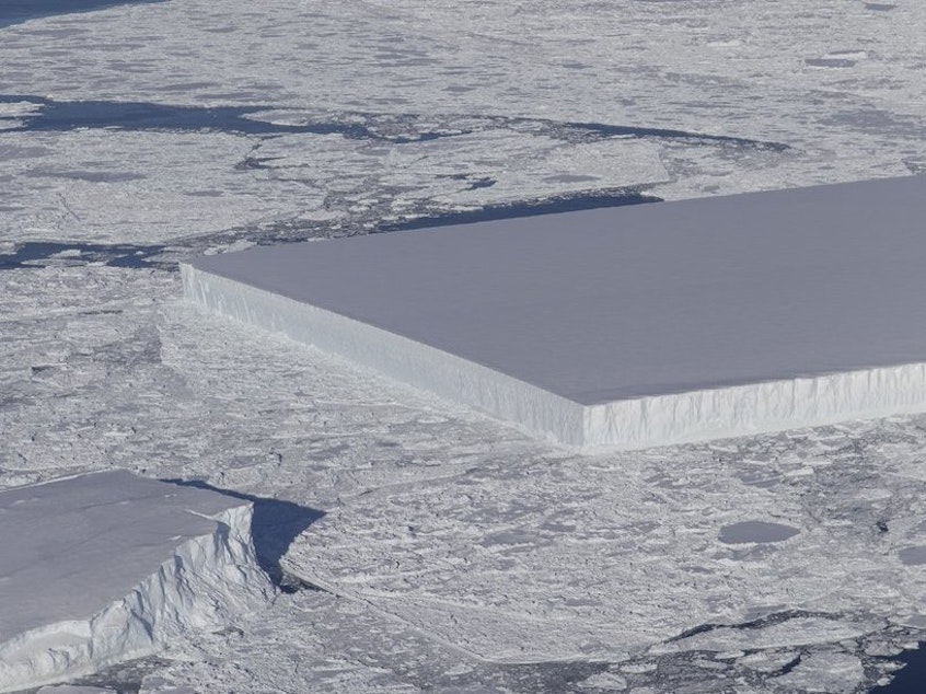 caption: NASA scientists spotted this "tabular iceberg" floating near the Larsen C ice shelf in Antarctica.