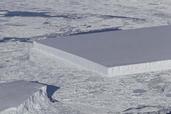 caption: NASA scientists spotted this "tabular iceberg" floating near the Larsen C ice shelf in Antarctica.
