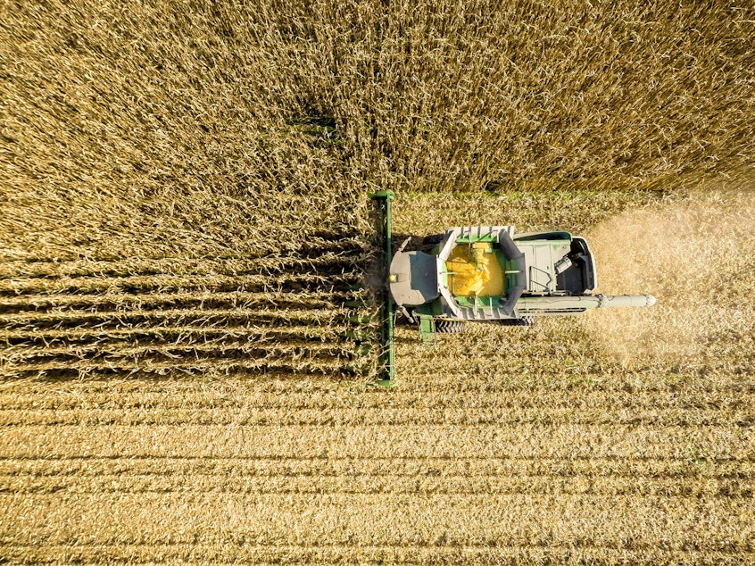 caption: An aerial view of a combine harvesting corn in a field near Jarrettsville, Md. A new study ties an estimated 4,300 premature deaths a year to the air pollution caused by corn production in the U.S.