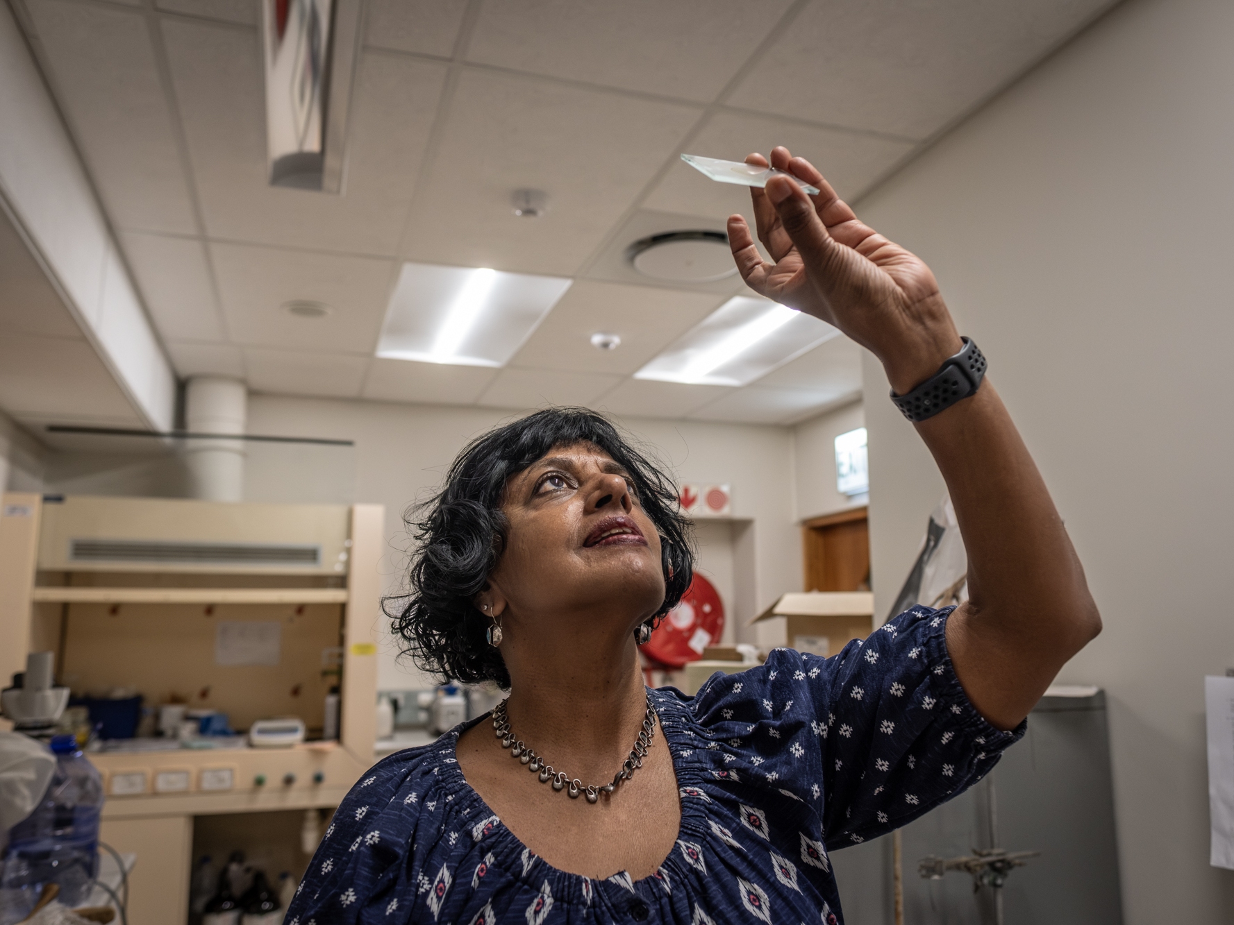 caption: By looking at thin slices of crocodile bones, University of Cape Town paleobiologist Anusuya Chinsamy-Turan has concluded that researchers may have been overestimating some dinosaur ages. "It changes how we think about dinosaur growth," she says.