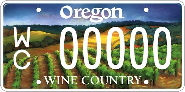dmv special license plates