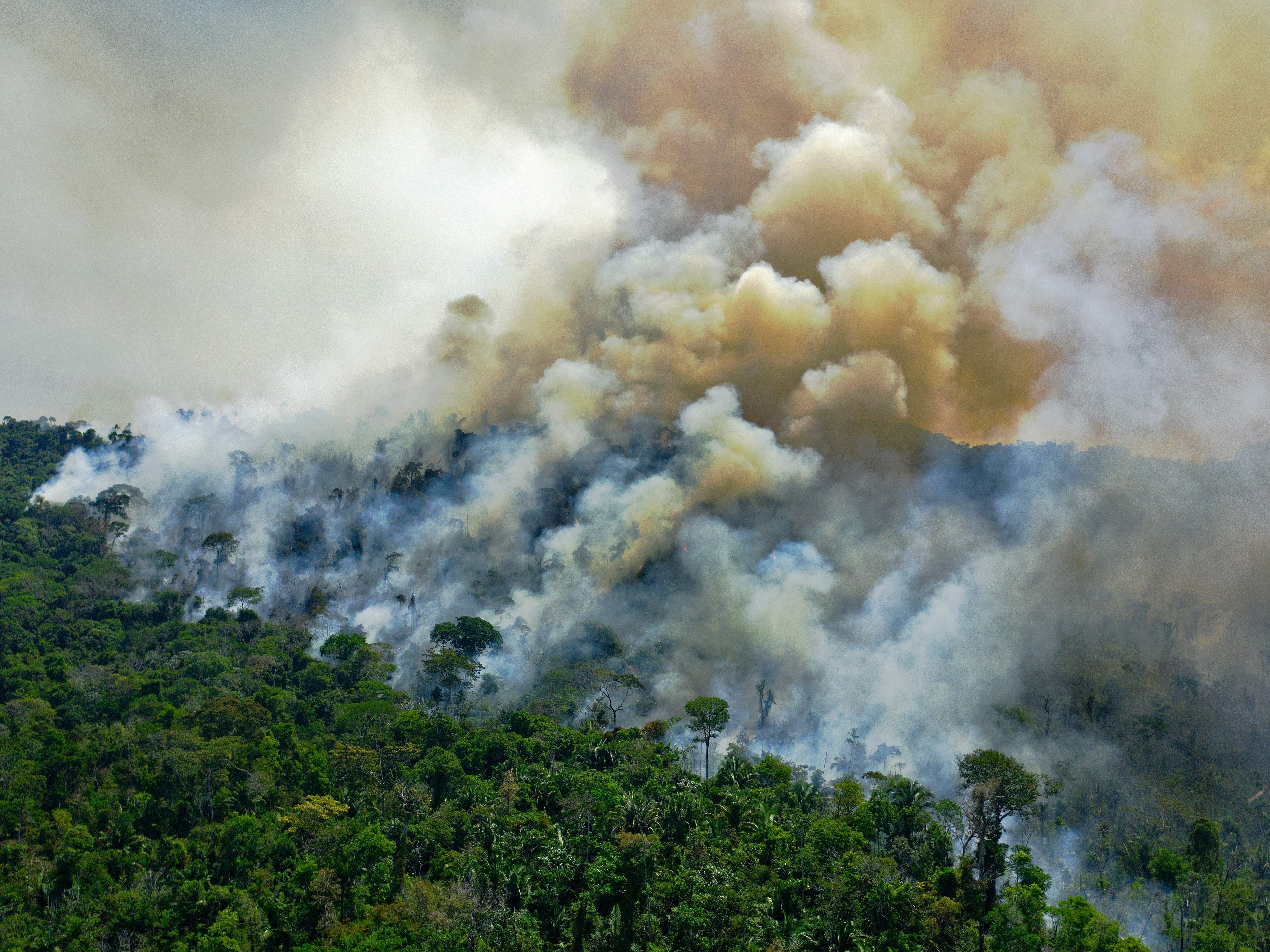 caption: Aerial view of a burning area of Amazon rainforest reserve, south of Novo Progresso in Para state, on August 16, 2020.