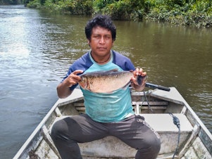 caption: Takakudjyti Kayapó, better known as Takakre, holds up a <em>matrinxã</em> fish. A community fishing monitor, he will measure and weigh the fish before recording its details in a spreadsheet to be sent to other members of the team studying how the mercury used in illegal mining is affecting fish populations in the Pixaxá River.