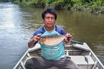 caption: Takakudjyti Kayapó, better known as Takakre, holds up a <em>matrinxã</em> fish. A community fishing monitor, he will measure and weigh the fish before recording its details in a spreadsheet to be sent to other members of the team studying how the mercury used in illegal mining is affecting fish populations in the Pixaxá River.
