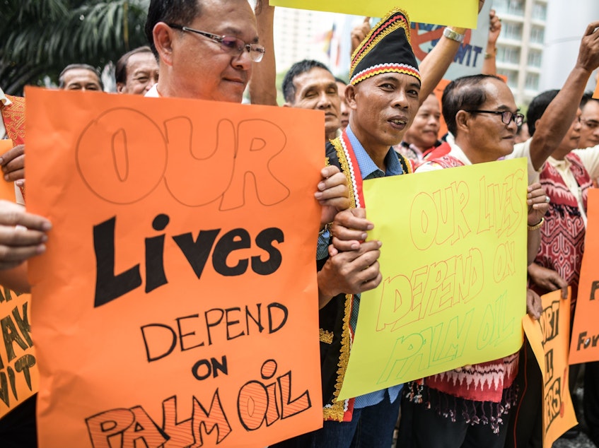 Palm oil protests