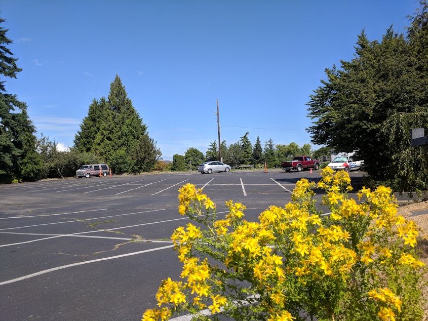 caption: The parking lot of Our Redeemer's Lutheran Church just north of Ballard, across Northwest 85th Street, has space for seven vehicles set aside for people who are homeless and living in their cars. Two households currently live there, but a city program would allow the church to be able to host five more households.